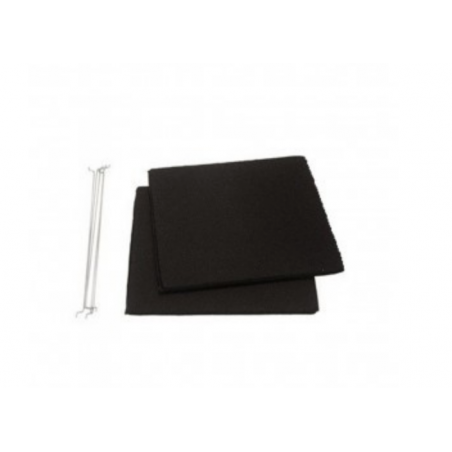 Filtre à charbon Longlife Fac Type 31 / 9029793842 pour Electrolux AS-AZKFI2410_el