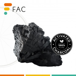 FC04 - Filtre à charbon compatible hotte Sauter SHB4904X