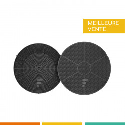 Elica - Jeu de 2 filtres à charbon pour hotte Elica CFC0038668