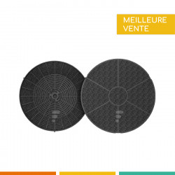 LOT DE 2 FILTRES A CHARBON POUR HOTTE ELICA CFC0038668