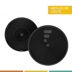 FC03 - Lot de 2 Filtres à charbon compatible hotte Roblin 5403004.
