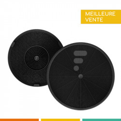 2 Filtres à Charbon pour Hotte ROBLIN 5403004