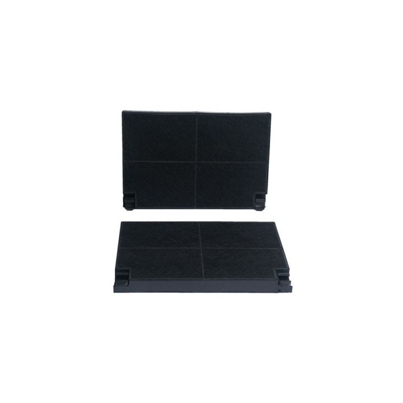 LOT DE 2 FILTRES CHARBON HOTTE ESPACE ORIENT ROBLIN 5403002