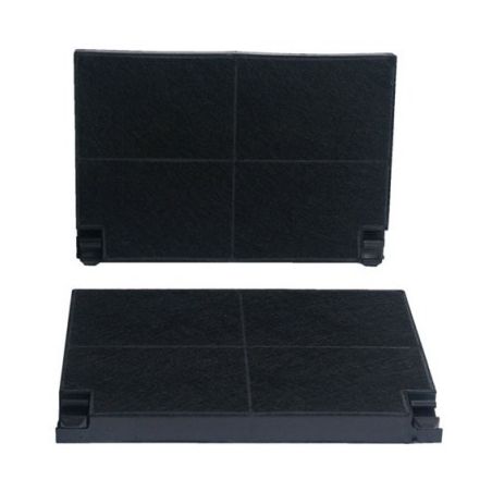 LOT DE 2 FILTRES CHARBON HOTTE ESPACE ORIENT ROBLIN 5403002
