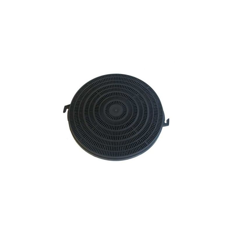FILTRE CHARBON HOTTE ROSIERES RHV629IN 49002534