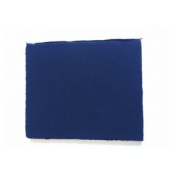 FILTRE A CHARBON LAVABLE HOTTE ARISTON C00275901 MOD45 Réf :  C00275901